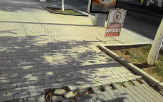 В Севастополе трёхминутная прогулка по центру выявила его неухоженность