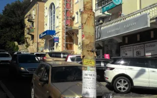 В Севастополе трёхминутная прогулка по центру выявила его неухоженность