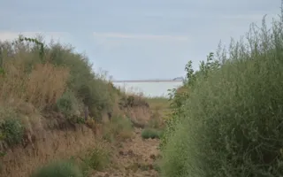 Украина «ограждается» от Крыма окопами и колючей проволокой