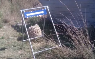 Как провести пикник на Солдатском пляже и не утонуть в мусоре?