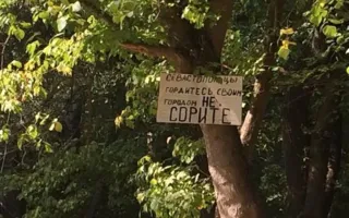 Лес у Чёрной речки утопает в мусоре. Знаки «Не сорить» не помогают
