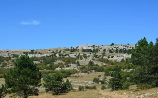 Красоты Крыма: Ай-Петри
