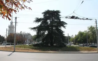 «Эксперименты» с камнями на клумбе на площади Ушакова окончены?