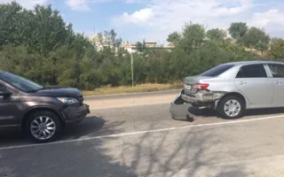 Водитель на чёрной «Ладе», сбив собаку, оставил животное умирать