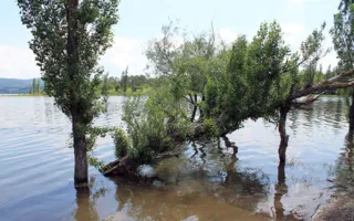 Симферопольское водохранилище — уголок рая