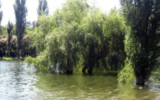 Симферопольское водохранилище — уголок рая