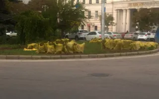 Севастопольские остановки «умнеют», а площади «зеленеют»