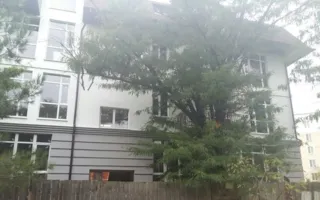 Застройка парка на улице Хрусталёва в Севастополе... уже состоялась