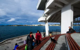 Севастополь — город моряков, рыбаков и... кошек