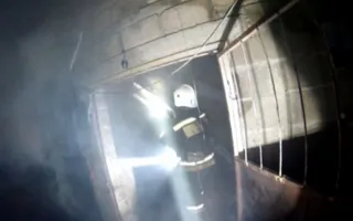 Лошадей спасали из пылающей конюшни в Севастополе