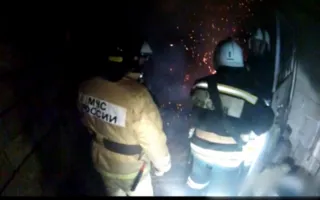 Лошадей спасали из пылающей конюшни в Севастополе