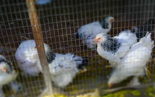 Сколько стоит посещение Парка миниатюр в Бахчисарае