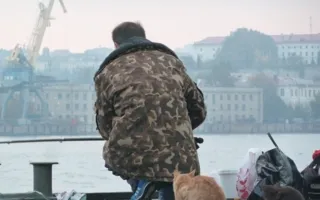 Севастополь в тумане — рыбаки торжествуют