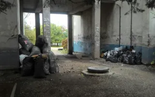 Жительница «Остряков» обнаружила дома около 20-ти крыс 