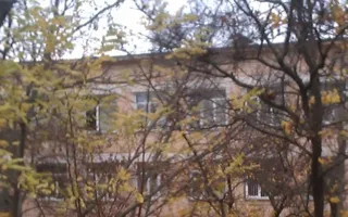 Дерево рухнуло на окна восьмой гимназии в Севастополе