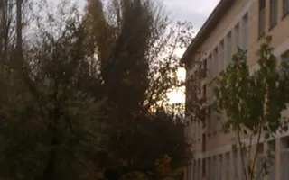 Дерево рухнуло на окна восьмой гимназии в Севастополе