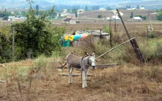 Удивительный Крым: ​На «Чёрные камни», как условились!