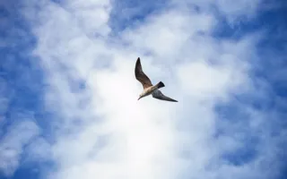 Херсонес в декабре. Фоторепортаж