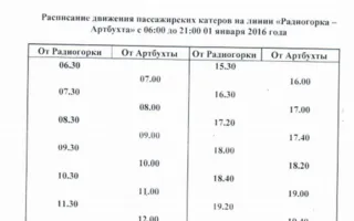 Как будут ходить в новогоднюю ночь автобусы, троллейбусы и катера 