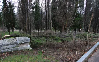 На Малаховом кургане исчезла тротуарная плитка — фотофакт