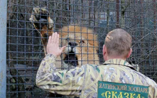 Зоопарк «Сказка»: реалии жизни обитателей. Фотопепортаж