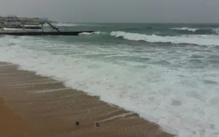 В парке Победы горожане окунались в море, несмотря на снег и ветер 