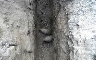 Склад миномётных мин обнаружили в садовом товариществе