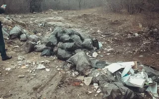 Строительный мусор в лесах Севастополя — это «норма»