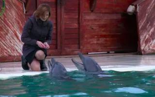 Поклонская рассказала о любимых животных