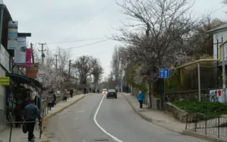 Водителей частного транспорта на Северной «потеснили»