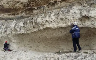 Домашнюю козу спасли от падения с обрыва в Крыму