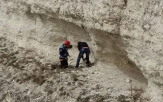 Домашнюю козу спасли от падения с обрыва в Крыму