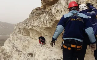 Домашнюю козу спасли от падения с обрыва в Крыму