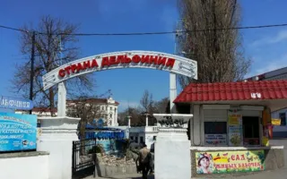 Невероятные приключения иностранца в Севастополе