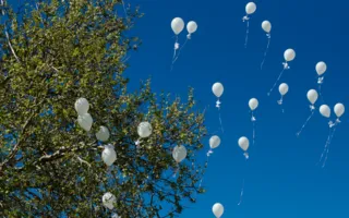 250 тысяч георгиевских лент раздадут в Севастополе