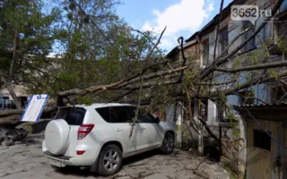Рухнувшее дерево придавило автомобиль в центре Симферополя