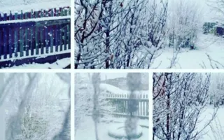 Первомай в Сибири ознаменовался... снегом. Фотофакт