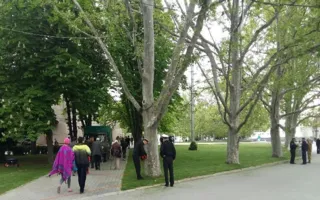 Подготовка к 9 мая: Севастополь моют, стригут газоны, натягивают провода