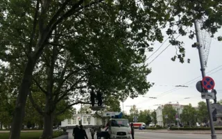 Подготовка к 9 мая: Севастополь моют, стригут газоны, натягивают провода