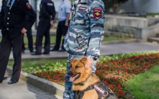 Вечерняя репетиция парада Победы состоялась в Севастополе