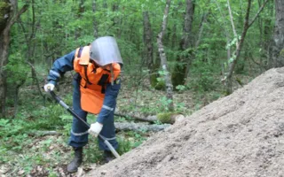На Мекензиевых горах взорвали немецкие авиабомбы времён ВОВ