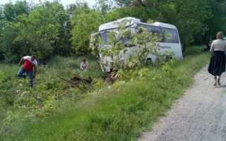 Крымский автобус с пассажирами слетел с дороги и врезался в дерево
