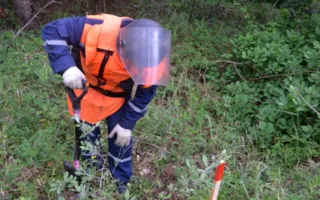 МЧС обезвредило 13 немецких авиабомб на Мекензиевых горах