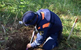 МЧС обезвредило 13 немецких авиабомб на Мекензиевых горах