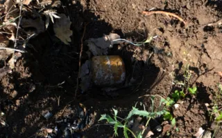 МЧС обезвредило 13 немецких авиабомб на Мекензиевых горах