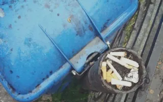 Соцсети: к лету в Ялте воцарилась антисанитария