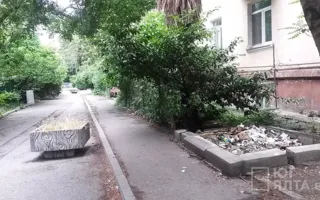 Соцсети: к лету в Ялте воцарилась антисанитария