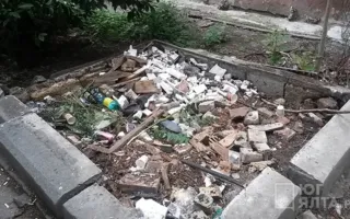 Соцсети: к лету в Ялте воцарилась антисанитария