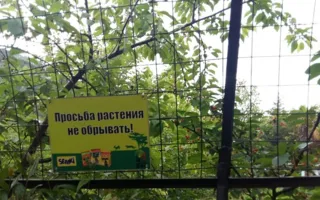 Зоопарк «Сказка»: реалии сегодняшнего дня 