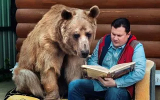 В российской семье 23 года живёт... ласковый медведь Степан